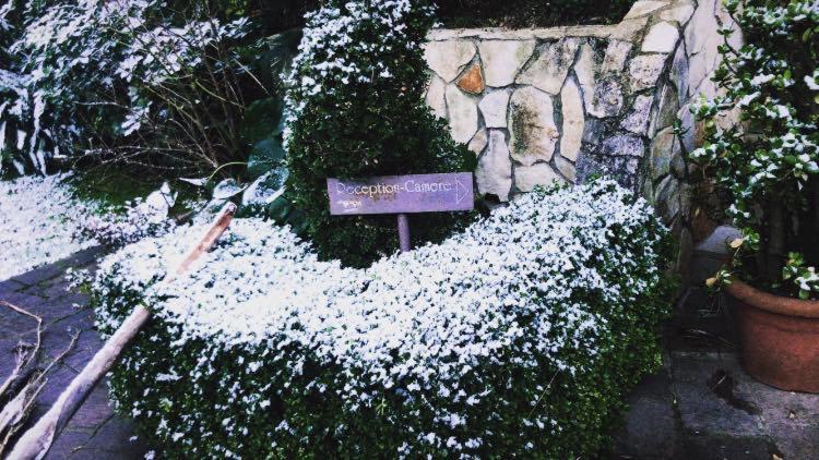 Agriturismo Terre Delle Monache Pontecagnano Dış mekan fotoğraf